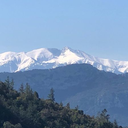 مبيت وإفطار سانت-باول-ديه-فينويليت Domaine Mas Terra المظهر الخارجي الصورة