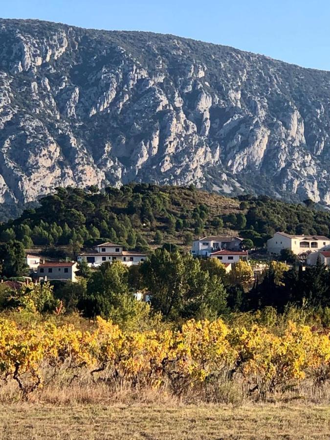 مبيت وإفطار سانت-باول-ديه-فينويليت Domaine Mas Terra المظهر الخارجي الصورة