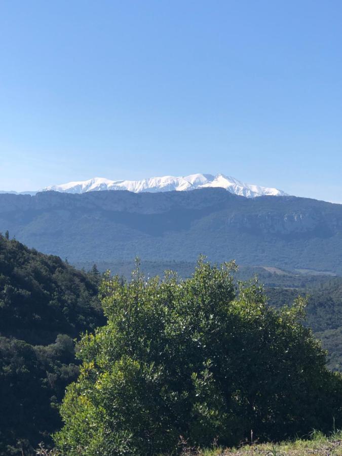 مبيت وإفطار سانت-باول-ديه-فينويليت Domaine Mas Terra المظهر الخارجي الصورة