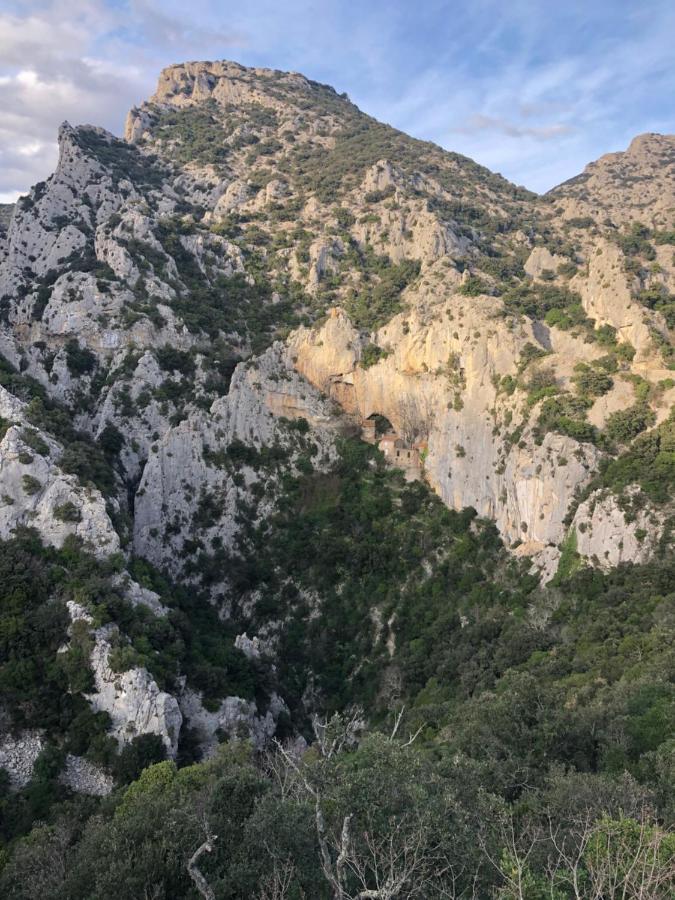 مبيت وإفطار سانت-باول-ديه-فينويليت Domaine Mas Terra المظهر الخارجي الصورة