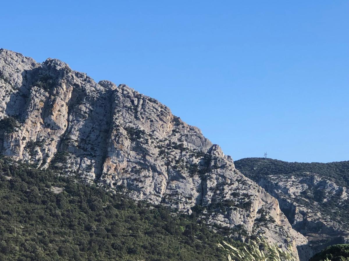 مبيت وإفطار سانت-باول-ديه-فينويليت Domaine Mas Terra المظهر الخارجي الصورة