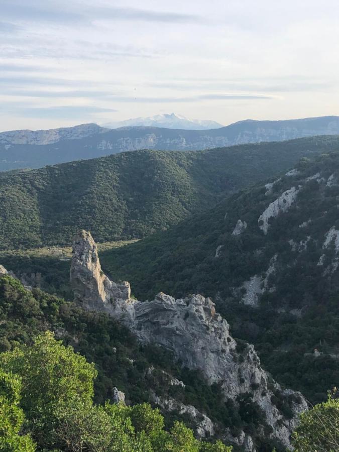 مبيت وإفطار سانت-باول-ديه-فينويليت Domaine Mas Terra المظهر الخارجي الصورة