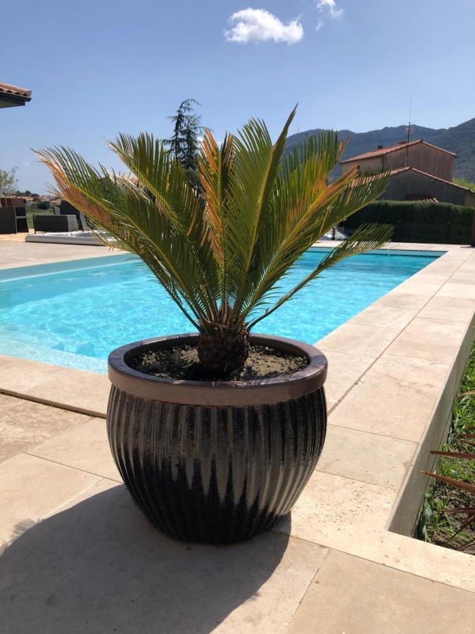 مبيت وإفطار سانت-باول-ديه-فينويليت Domaine Mas Terra المظهر الخارجي الصورة