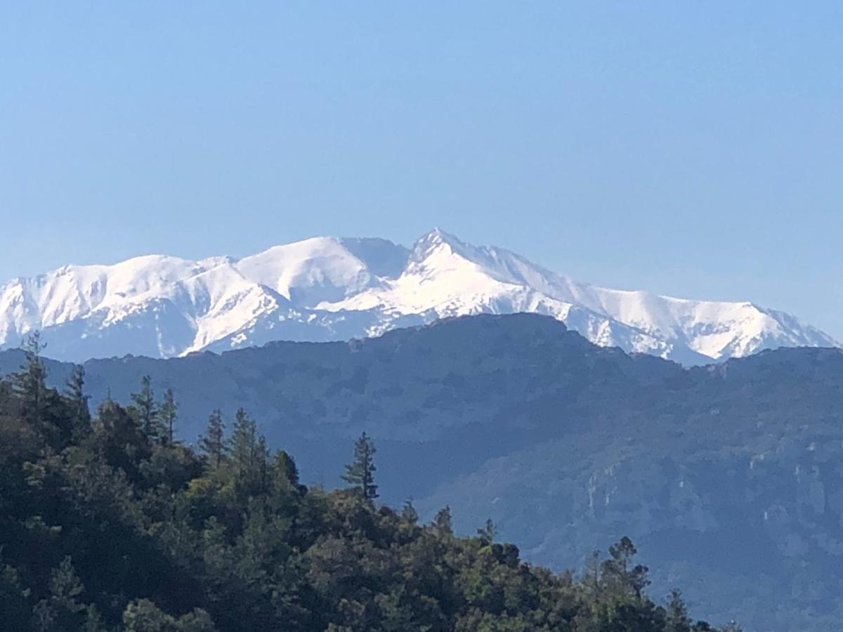 مبيت وإفطار سانت-باول-ديه-فينويليت Domaine Mas Terra المظهر الخارجي الصورة