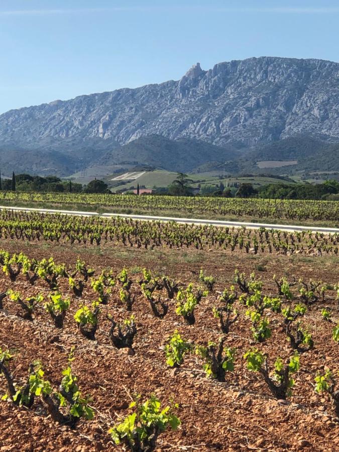 مبيت وإفطار سانت-باول-ديه-فينويليت Domaine Mas Terra المظهر الخارجي الصورة