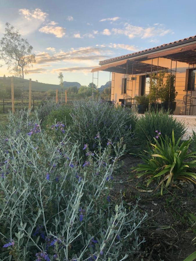 مبيت وإفطار سانت-باول-ديه-فينويليت Domaine Mas Terra المظهر الخارجي الصورة