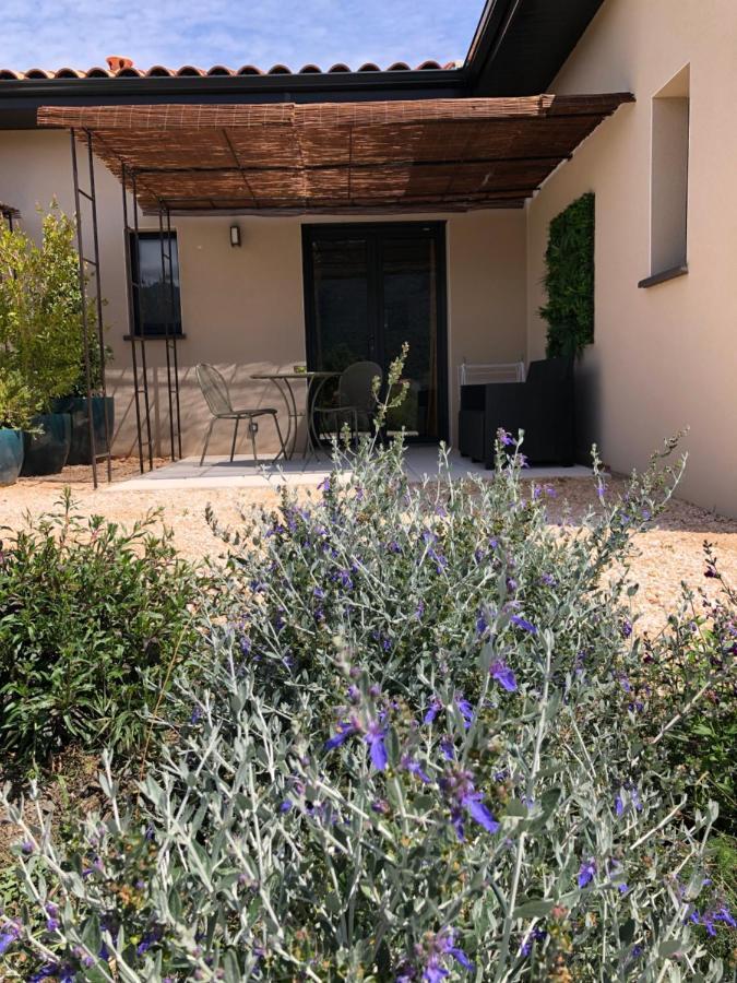 مبيت وإفطار سانت-باول-ديه-فينويليت Domaine Mas Terra المظهر الخارجي الصورة